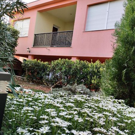 Miran Apartment Ivanica Bagian luar foto