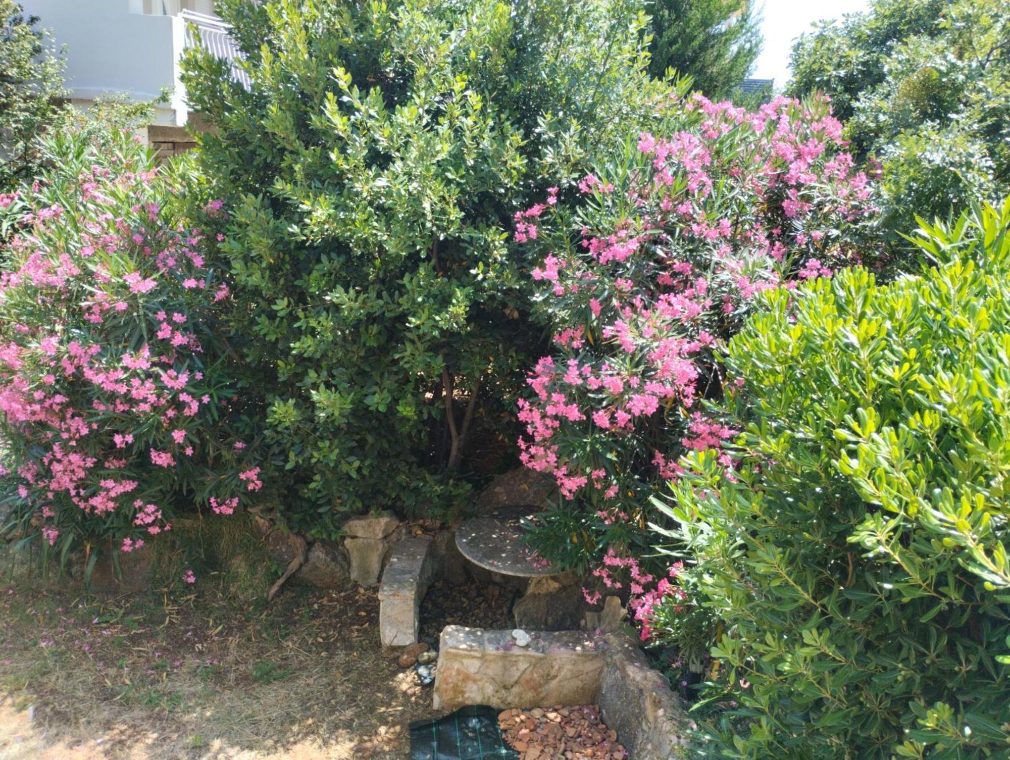 Miran Apartment Ivanica Bagian luar foto